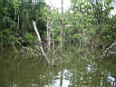 2005-07-18 001.JPG